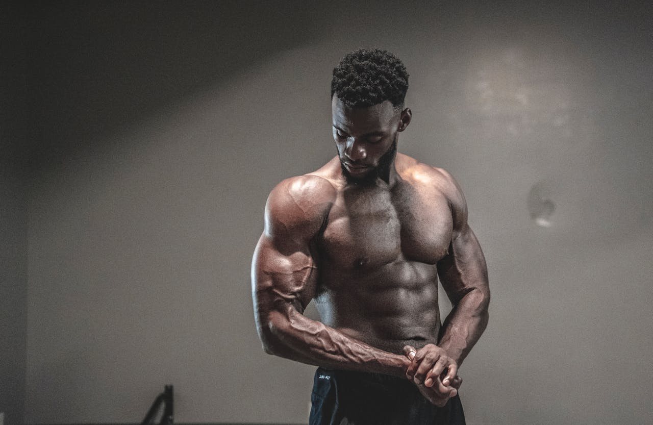 pexels-panther-1547248